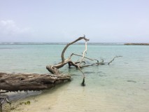 Guadeloupe - Saint Anne / Plage de la caravelle 